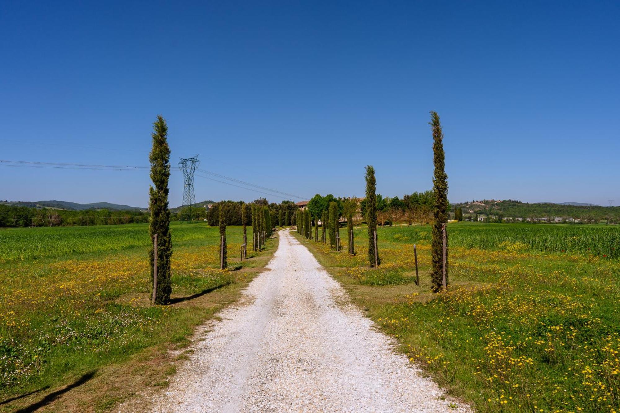 Villa Le Beringhe - Wine Pool & Relax Colle Val D'Elsa Exterior photo
